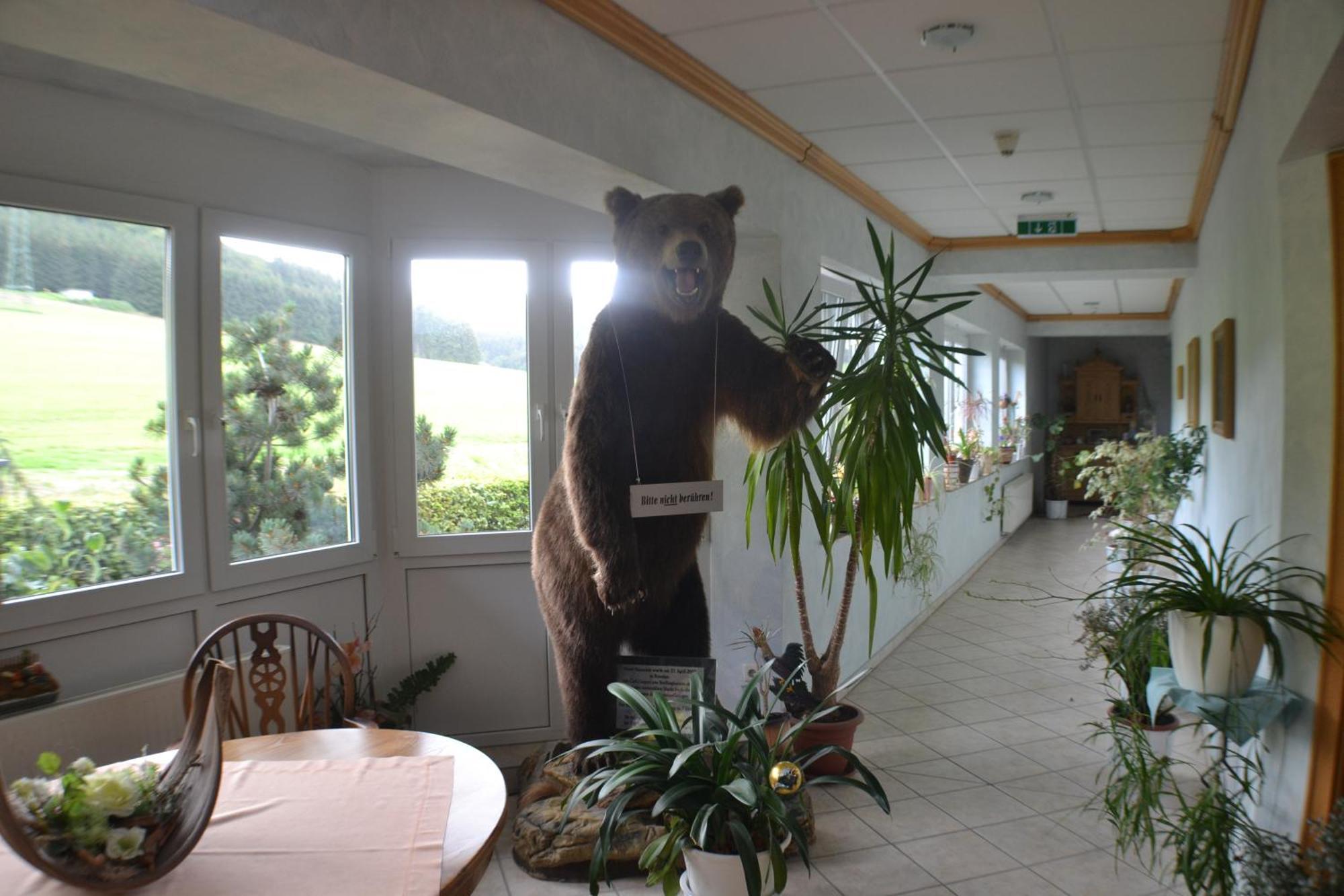 Landhotel Gasthof Wuellner Winterberg Esterno foto